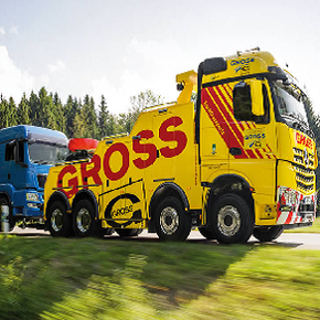 Gross GmbH & Co.KG (Dresden)