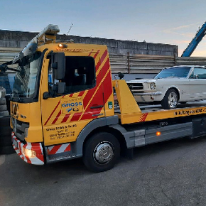 Gross GmbH & Co.KG (Dresden)